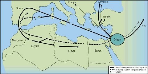 FMF Map